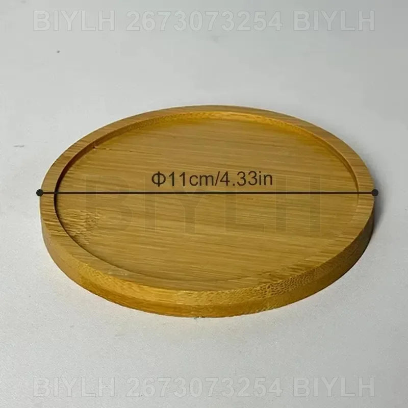 Hydroponic Glass Vase with Base Tray