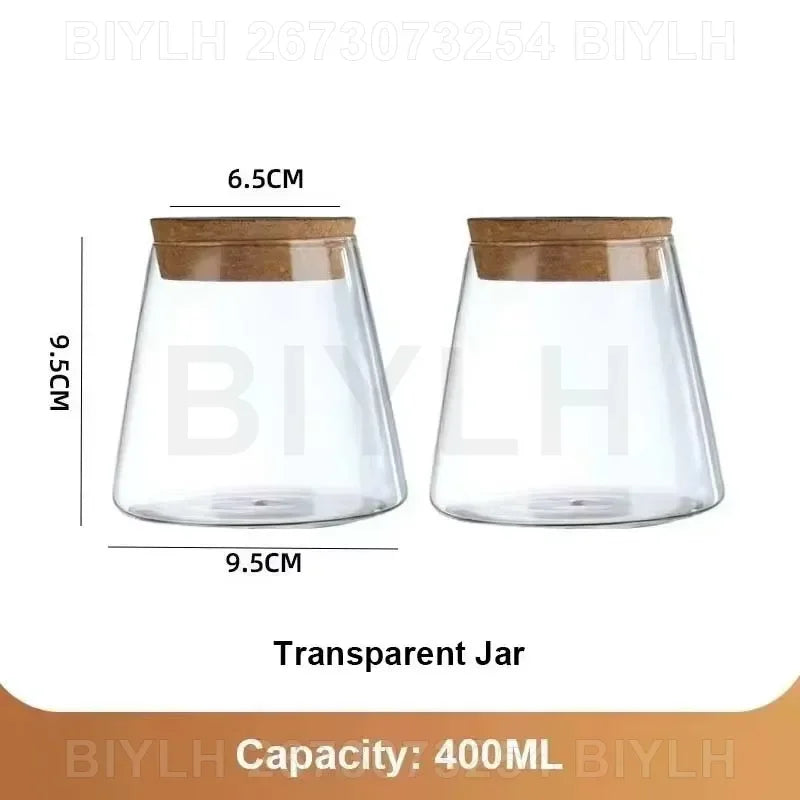 Hydroponic Glass Vase with Base Tray