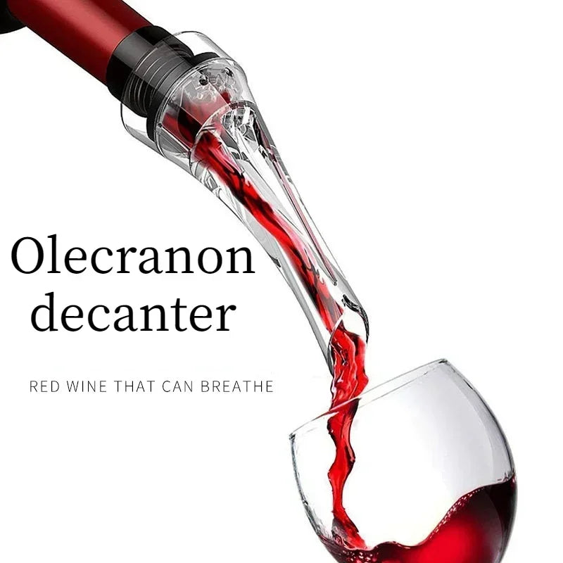 Portable Wine Decanter