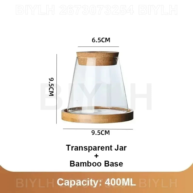 Hydroponic Glass Vase with Base Tray